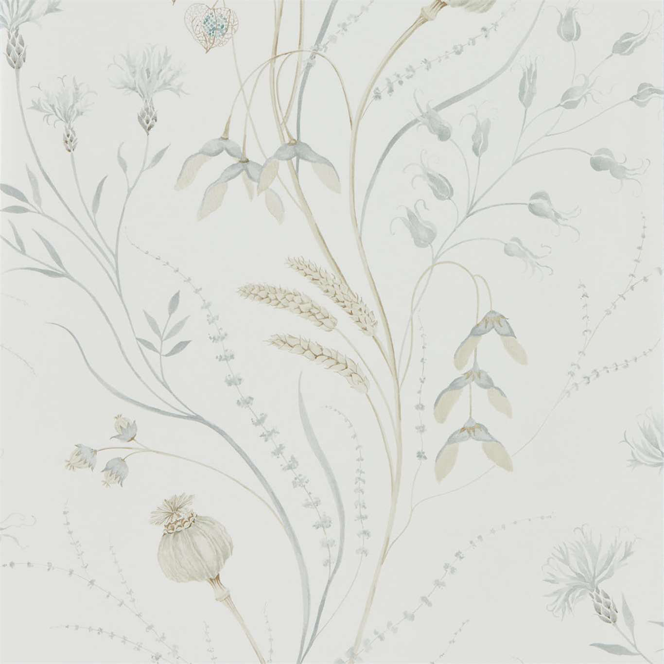 Sanderson Summer Harvest Floral Wallpaper Roll by In-House | Perigold