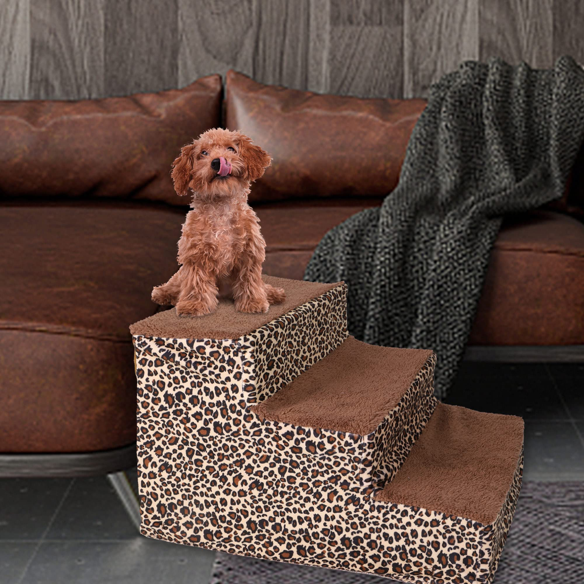 Can Small Dogs Go Up And Down Stairs