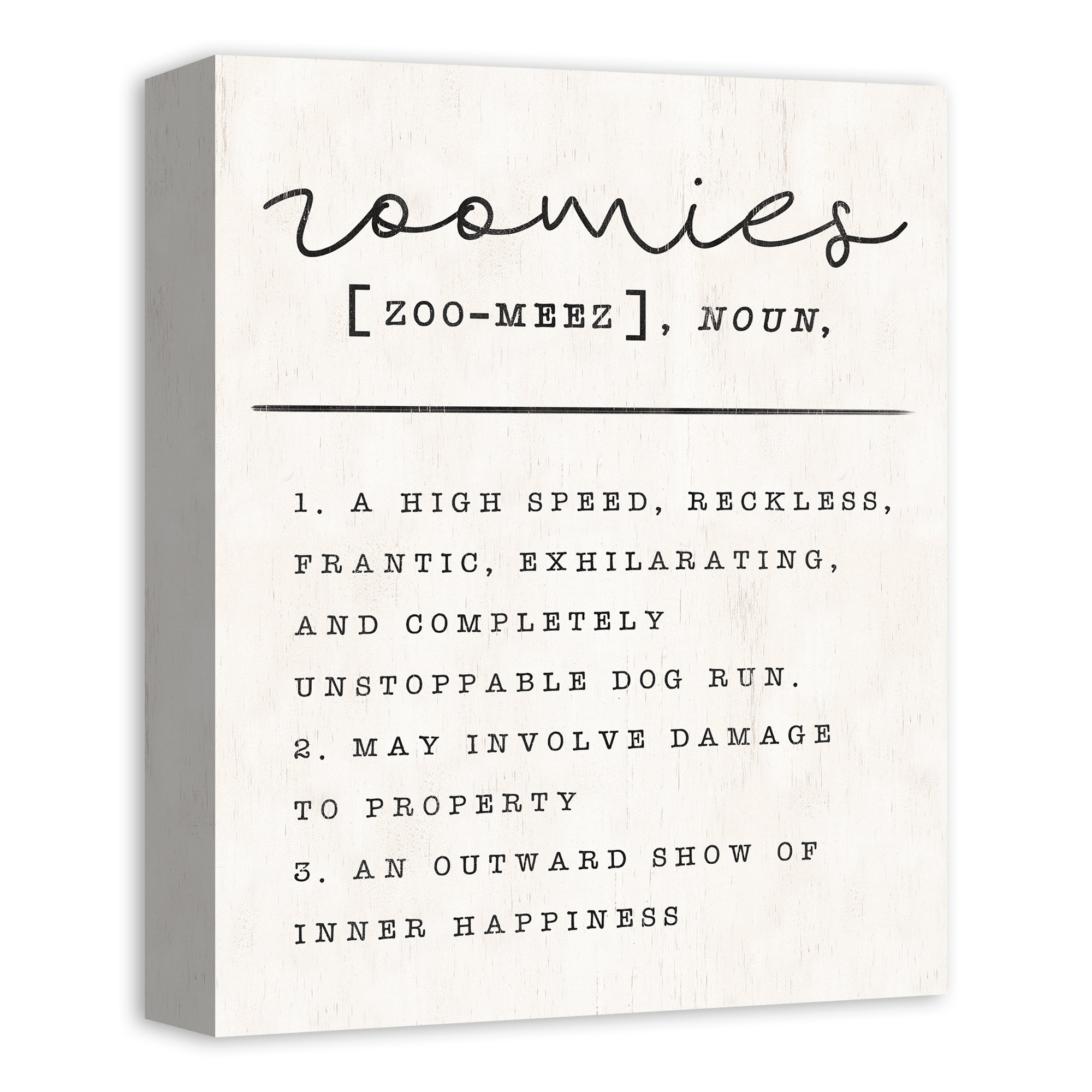 Trinx Zoomies Definition Wrapped Canvas Textual Art Wayfair