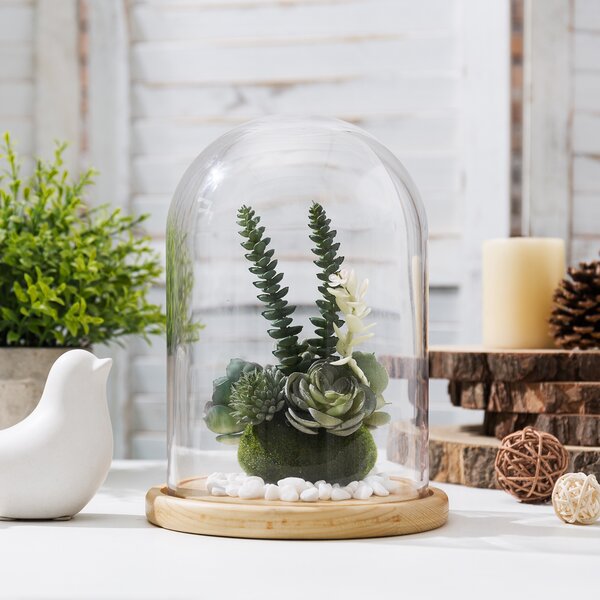 Glass Dome Cover Flower Succulent Plants Case W/ Wood Cork Kit Table DIY Display 