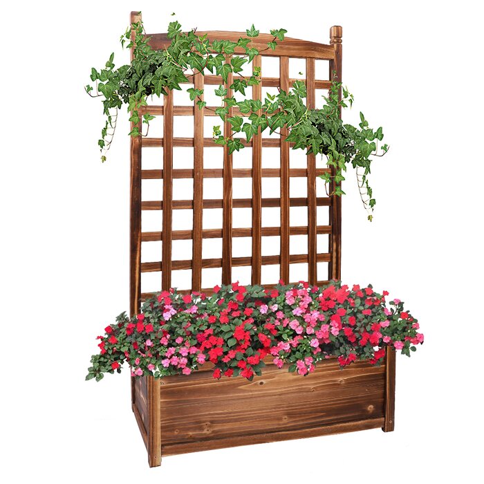 Red Barrel 45.2x25.2x13.8 inch Wood Climbing Plants Flowers Container