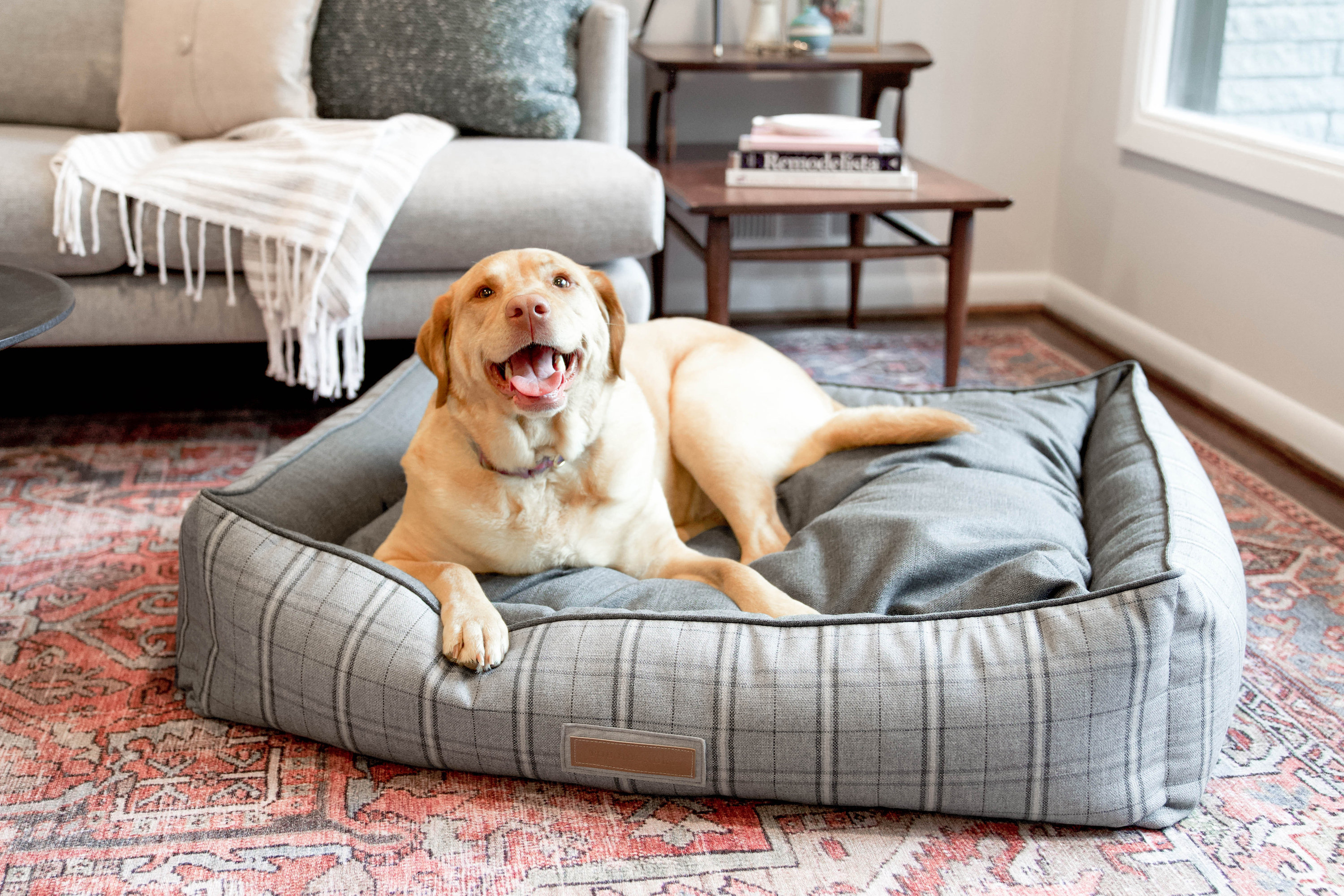 sunbrella outdoor dog bed