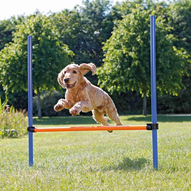 Dog Agility/Training Practice Jump/Hurdle X 3 Set***New 