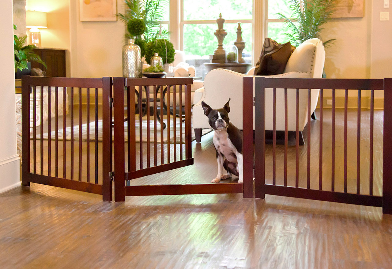 [BIG SALE] Sit, Stay, Play Pet Furniture You’ll Love In 2023 Wayfair