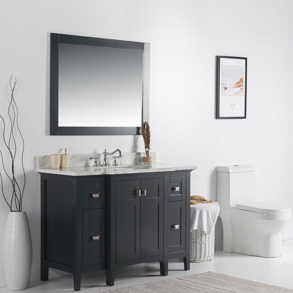 Wildon Home® Smyrna 49'' Freestanding Single Bathroom Vanity with