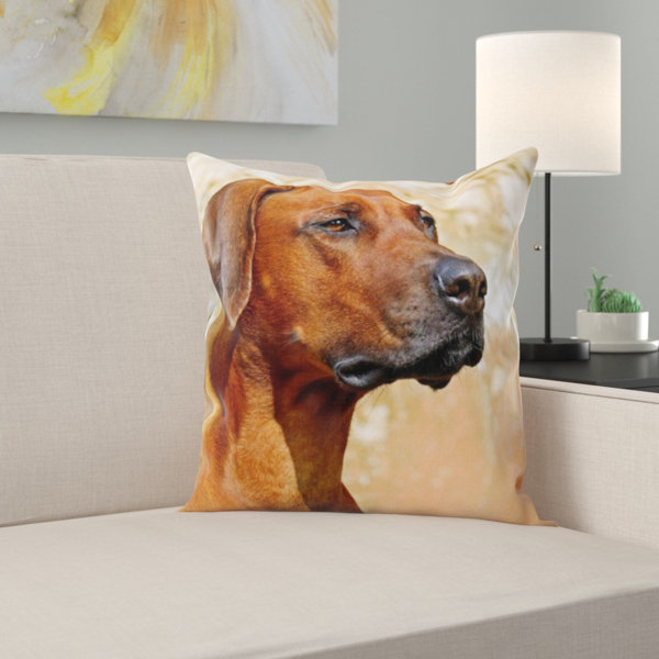 rhodesian ridgeback pillow