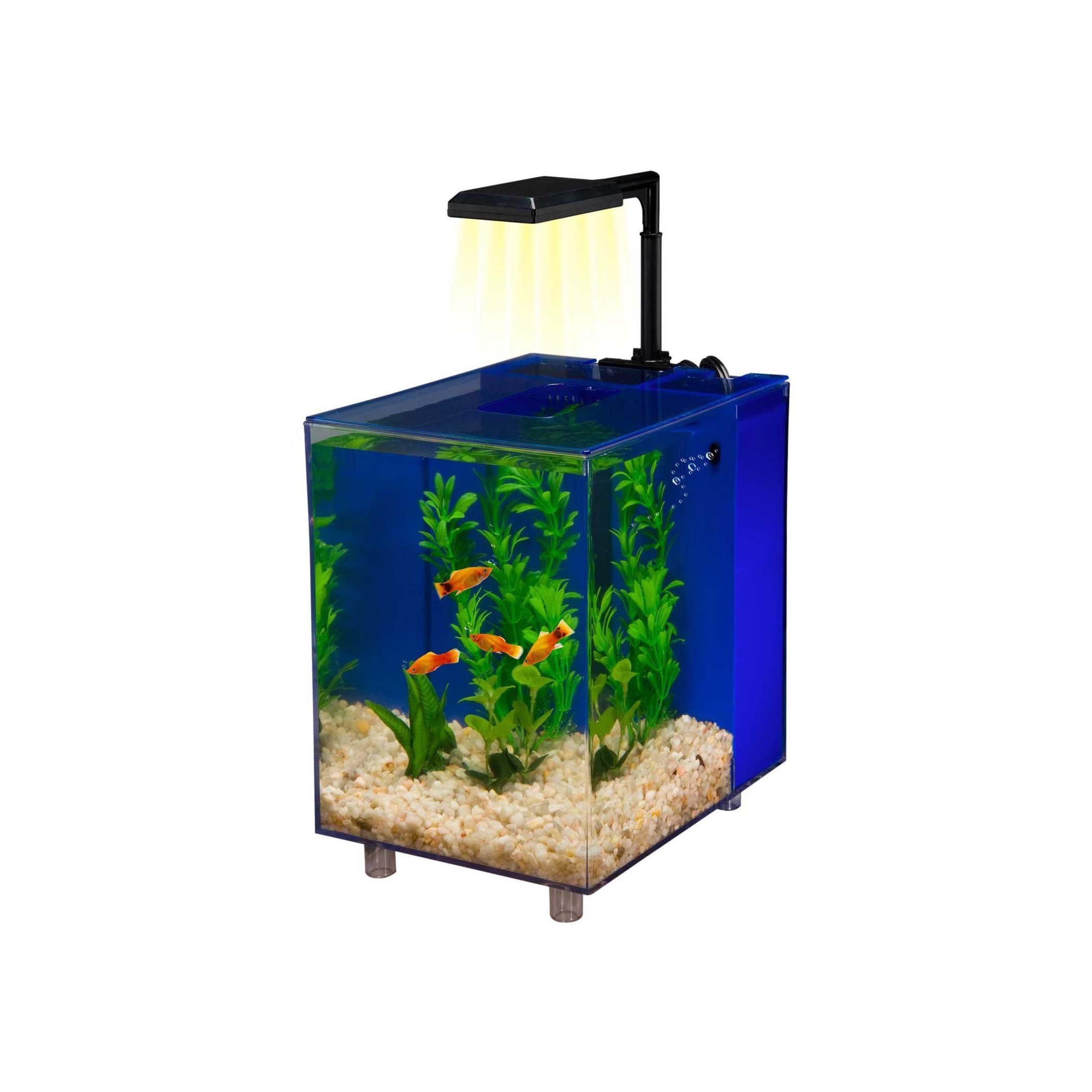 Tucker Murphy Pet™ Margo 2 Gallon Desktop Aquarium Tank & Reviews Wayfair