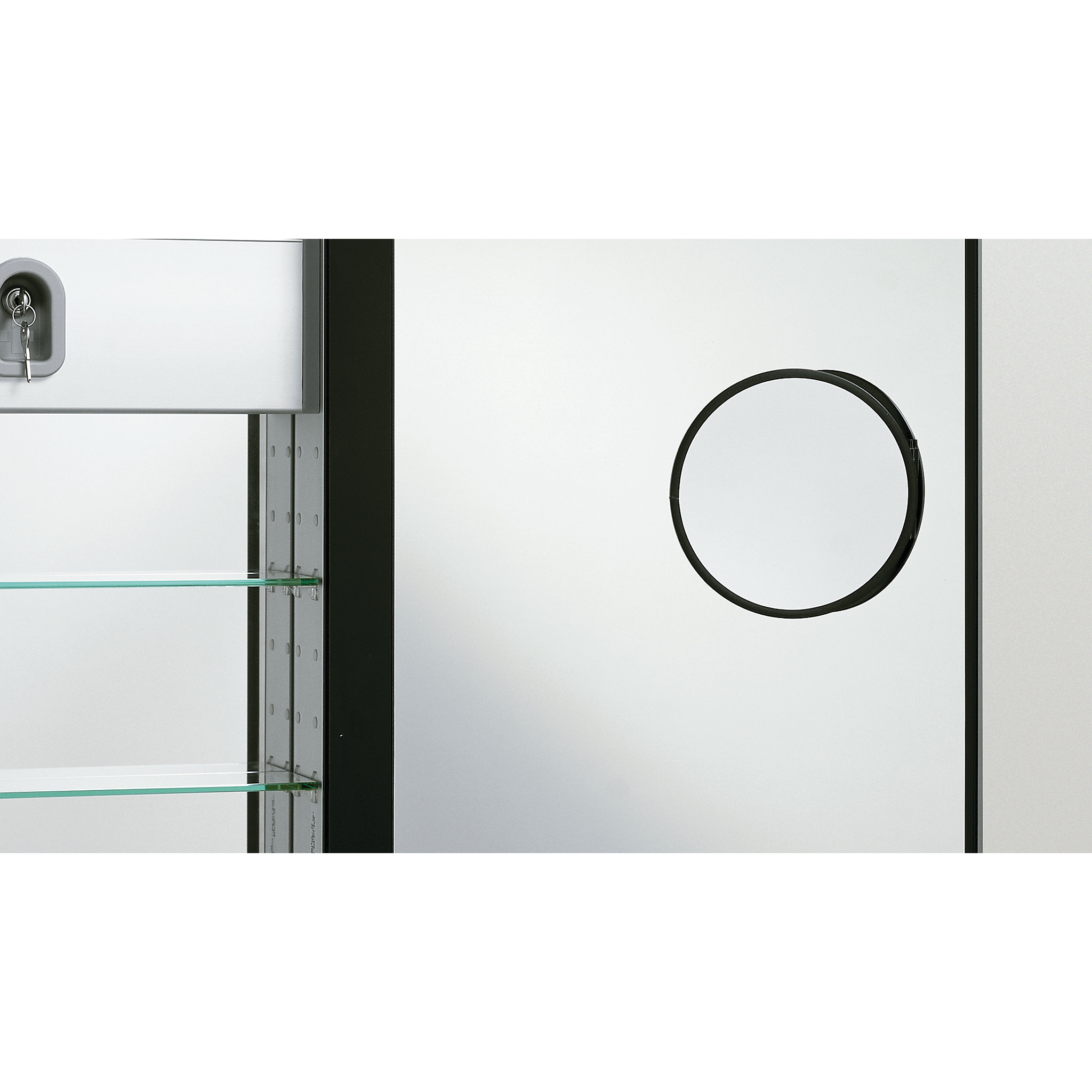 Robern PL Series Recessed or Surface Mount Frameless Medicine with 4 Adjustable Shelves