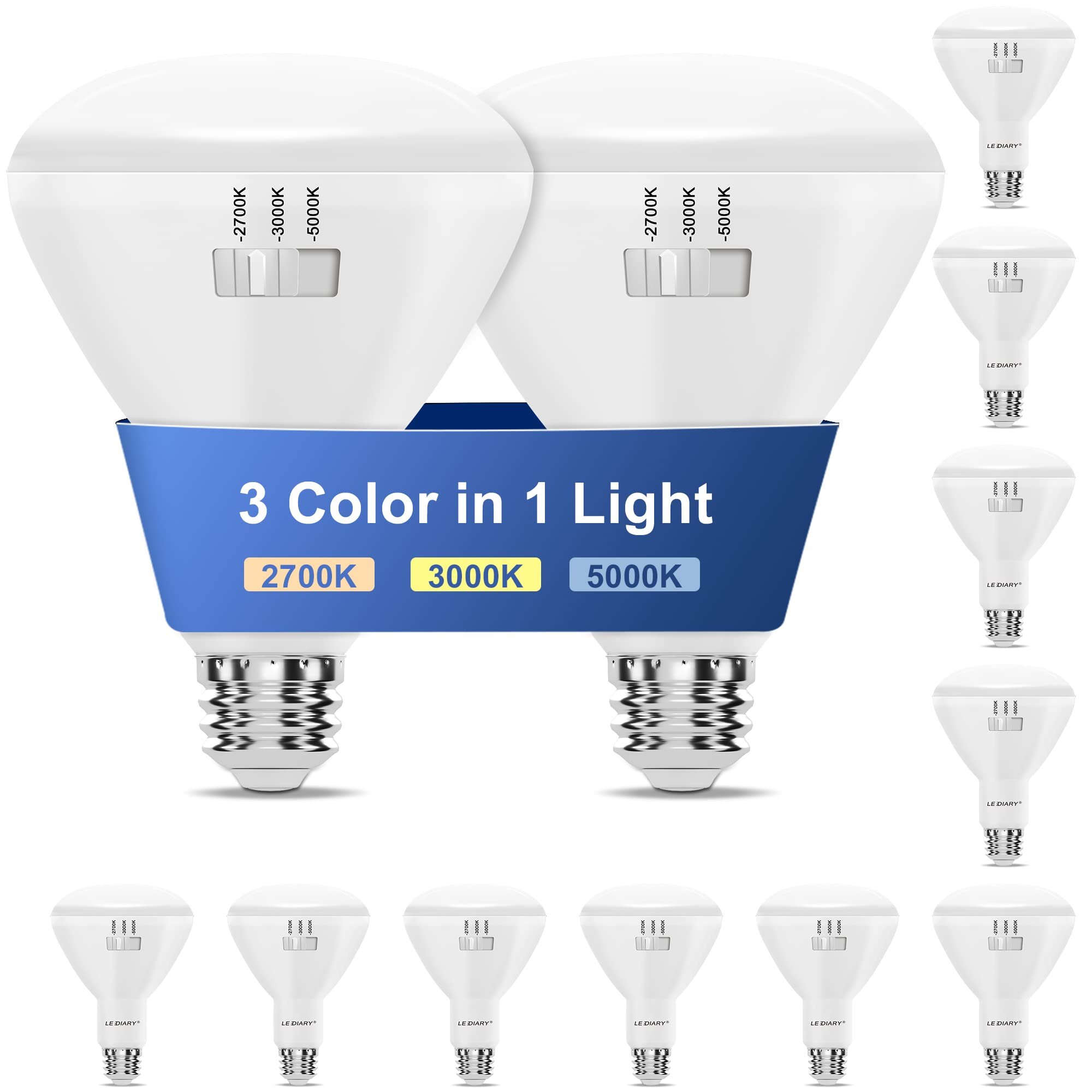 2-LED PAR16 LED Bulb Flood Light Medium E26 Base Indoor Outdoor Color Blue 