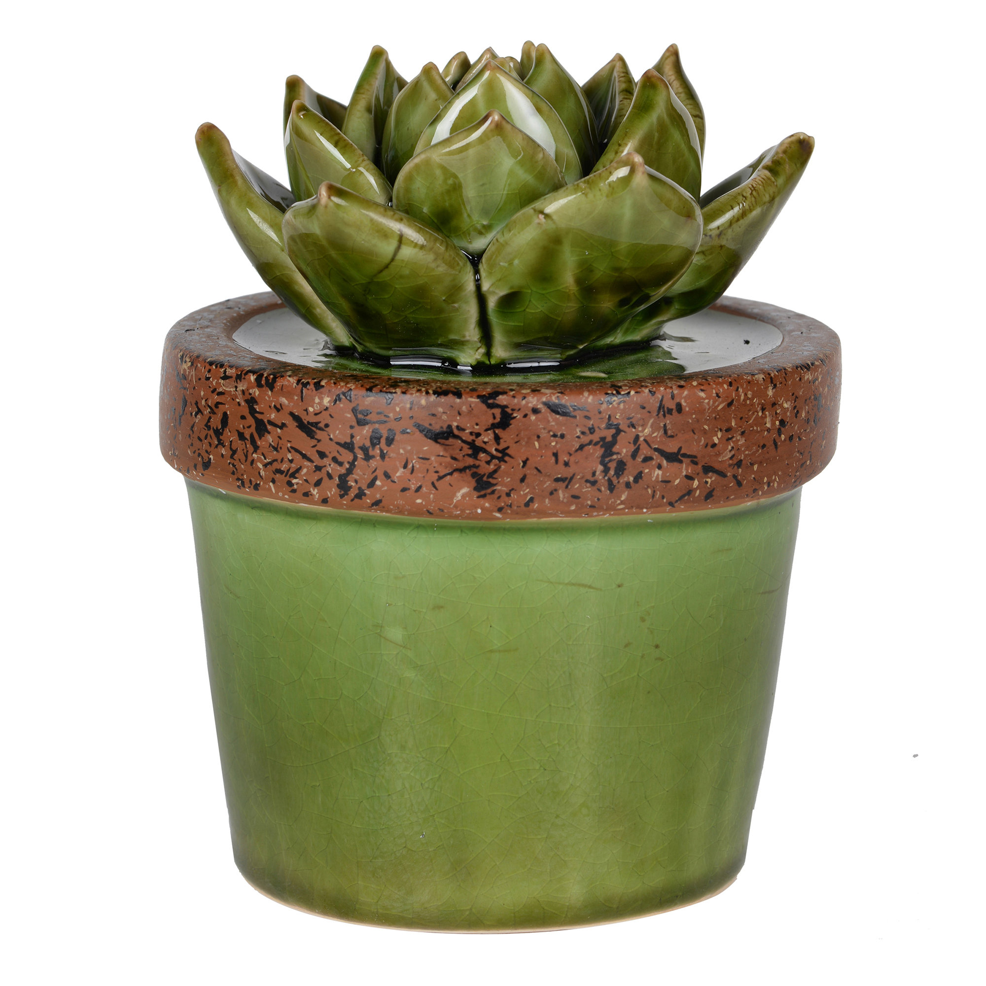 Bungalow Rose Ceramic Echeveria Plant Figurine in Green Pot & Reviews