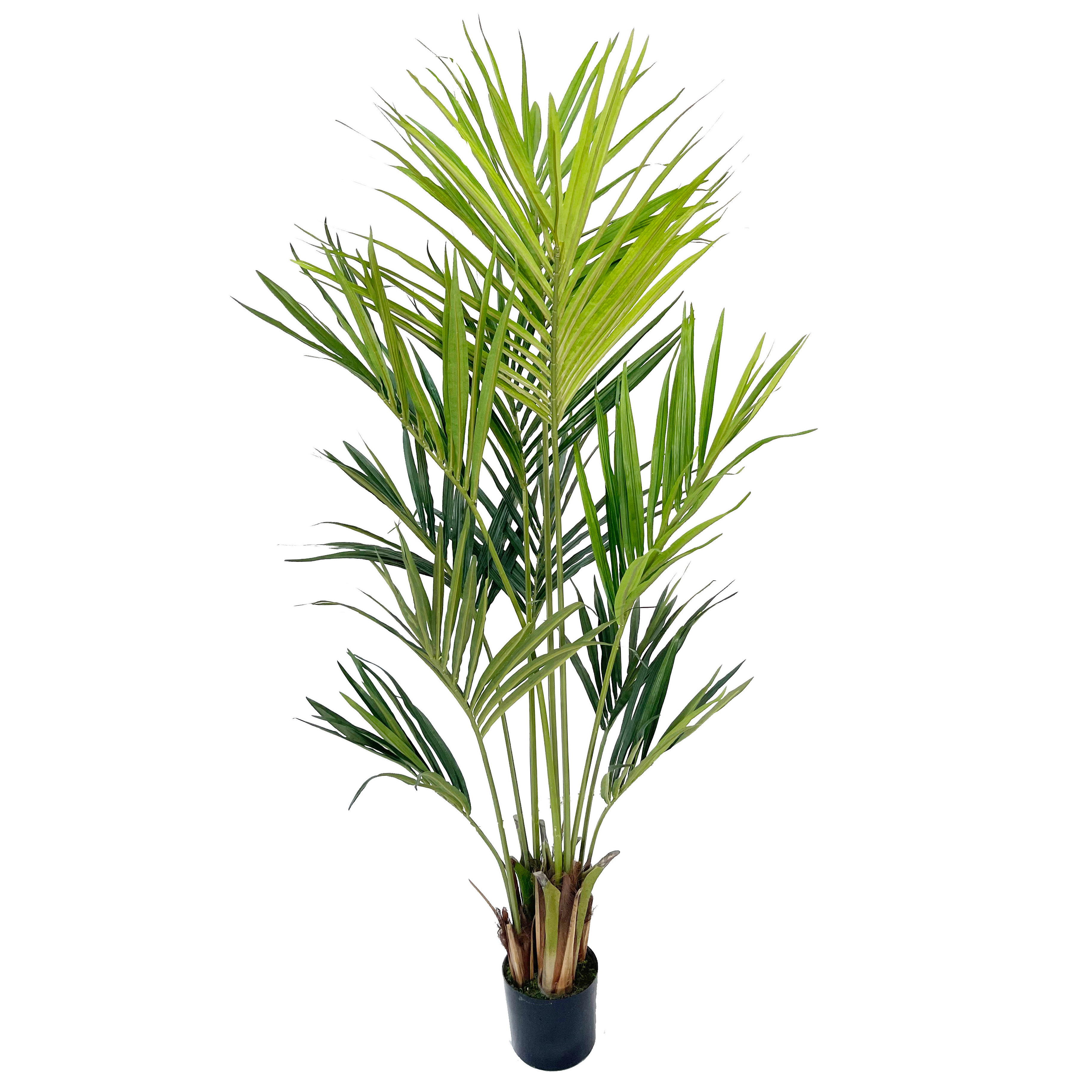 Primrue 76'' Faux Palm Tree in Pot Wayfair