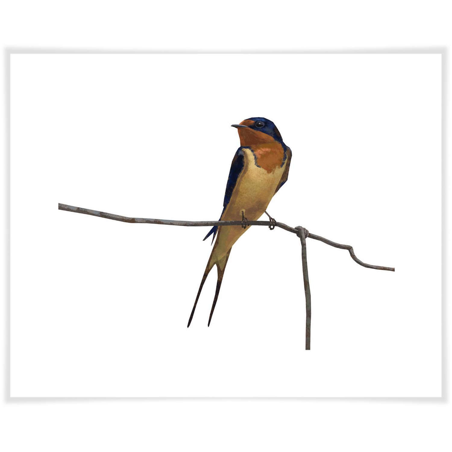 Winston Porter Barn Swallow By Brad Sneed - Painting | Wayfair