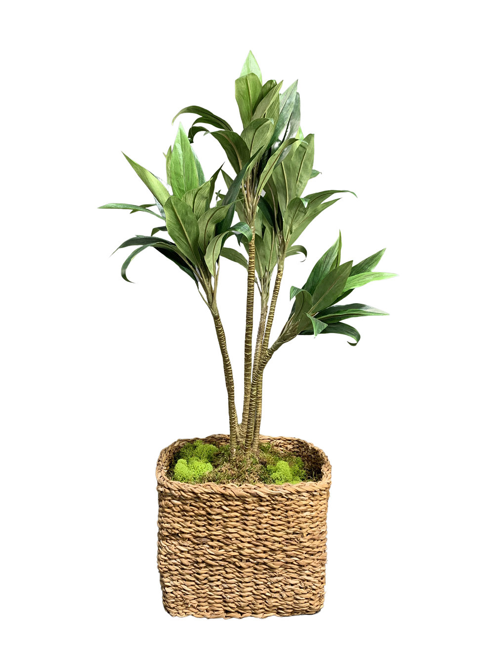Primrue 35'' Faux Yucca Plant in Sea Grass Basket Wayfair