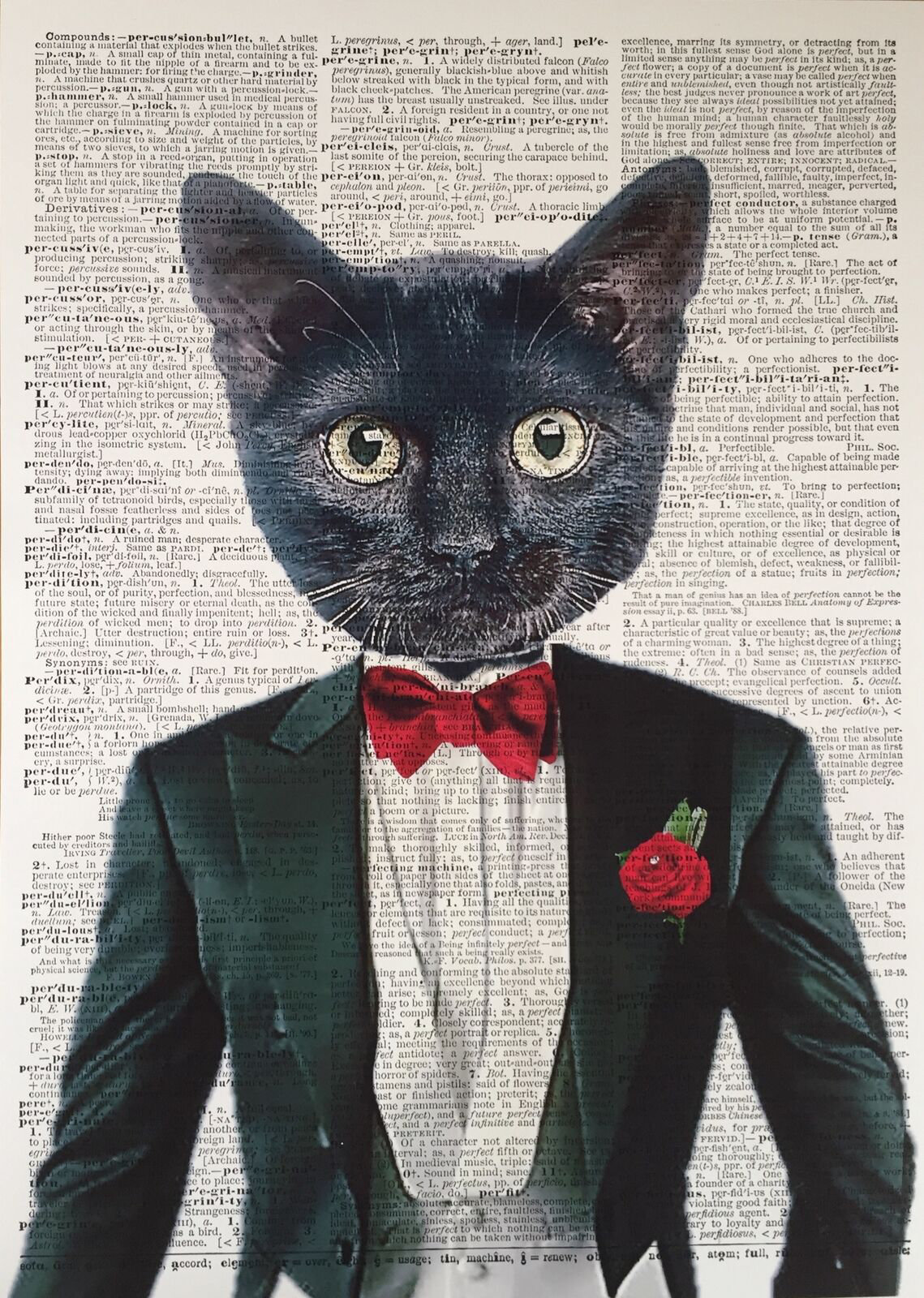 Maturi A3 Black Cat Print Wall Art Picture Humanised Animal In Suit Tuxedo  Red Rose Bow Tie Dictionary Page 