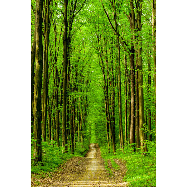 Forestree | Wayfair