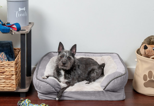 Just for Them: Dog Beds