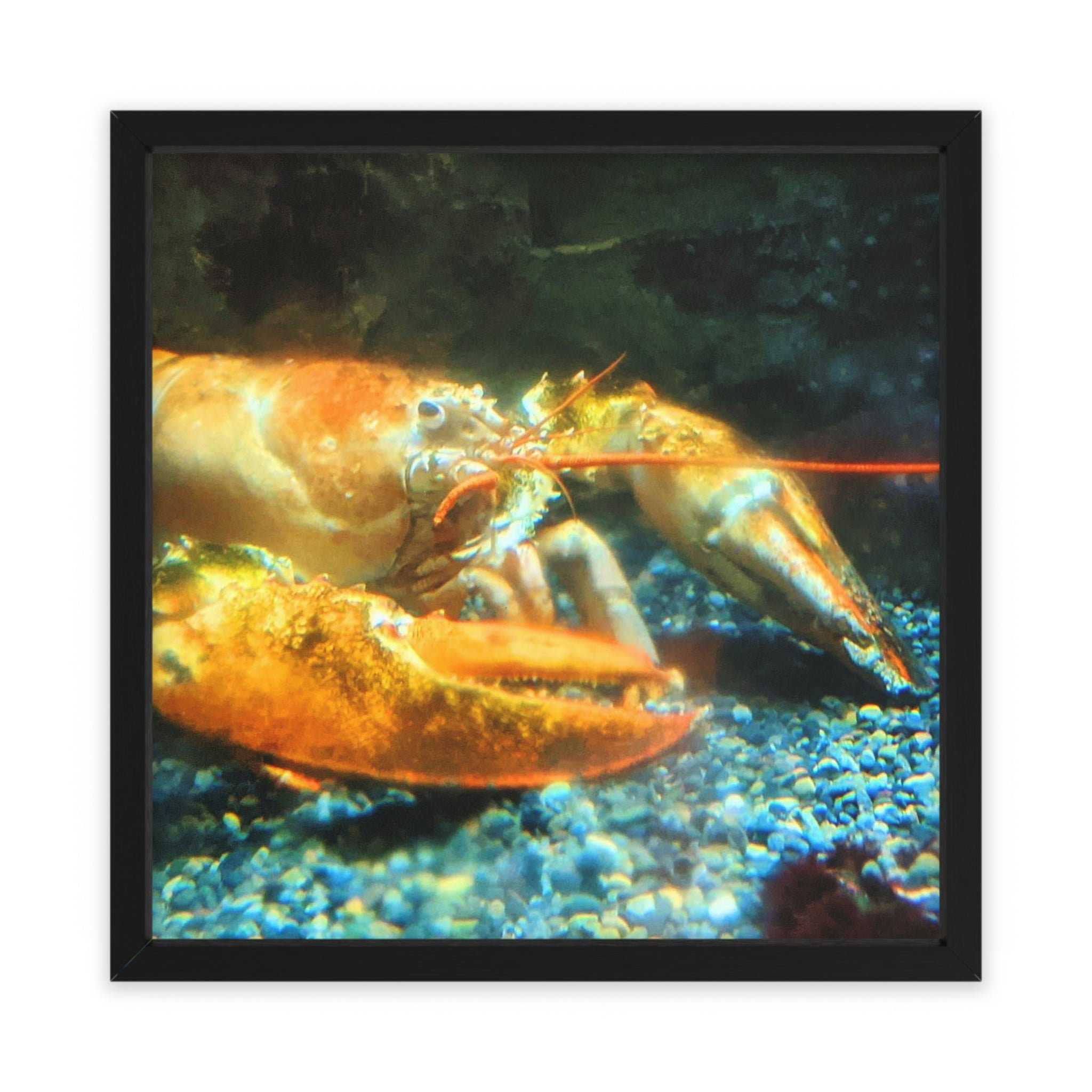 Dovecove Lobster Picture Frame Illustration Wayfair