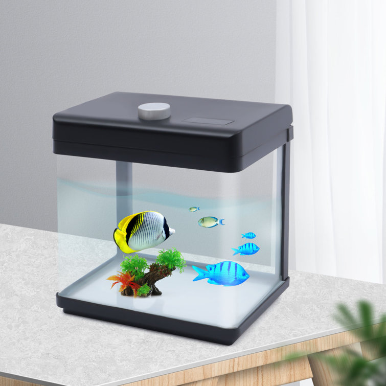 small complete fish tank