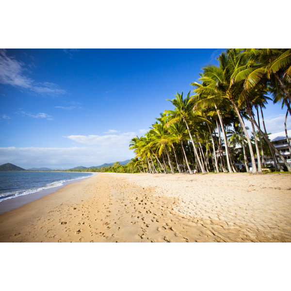 Highland Dunes Palm Cove Beachfront - Wrapped Canvas Photograph | Wayfair