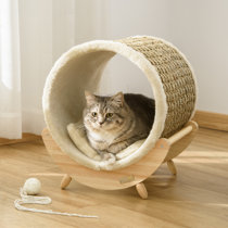stylish cat beds uk