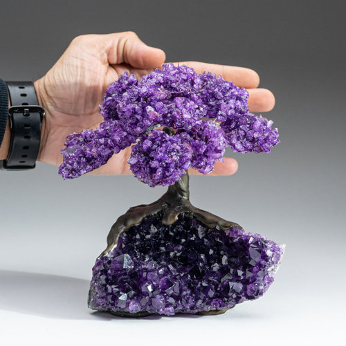 Astro Gallery of Gems Large Amethyst Clustered Gemstone Tree on ...