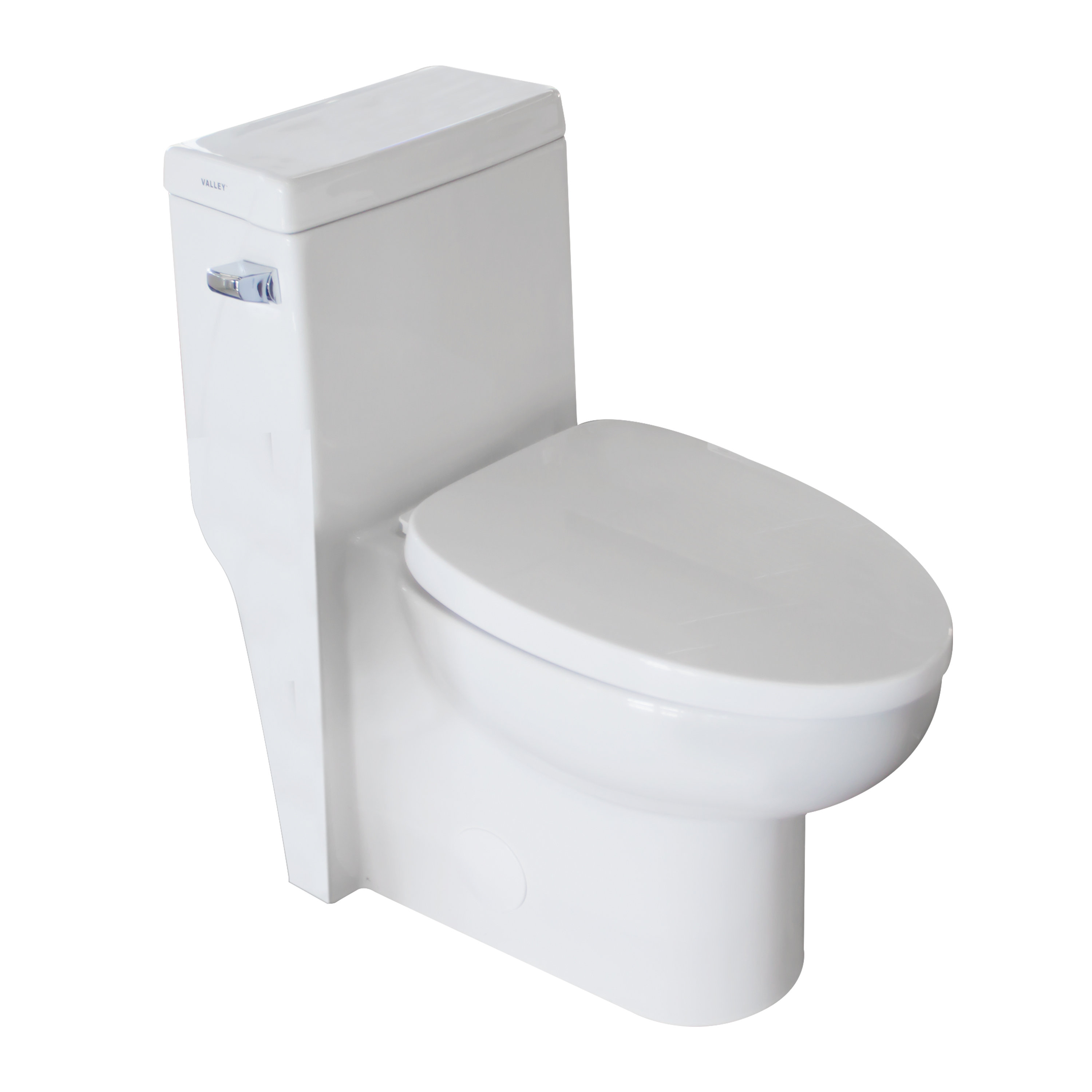 Valley Acrylic Ltd. DualFlush Round OnePiece Toilet Wayfair Canada