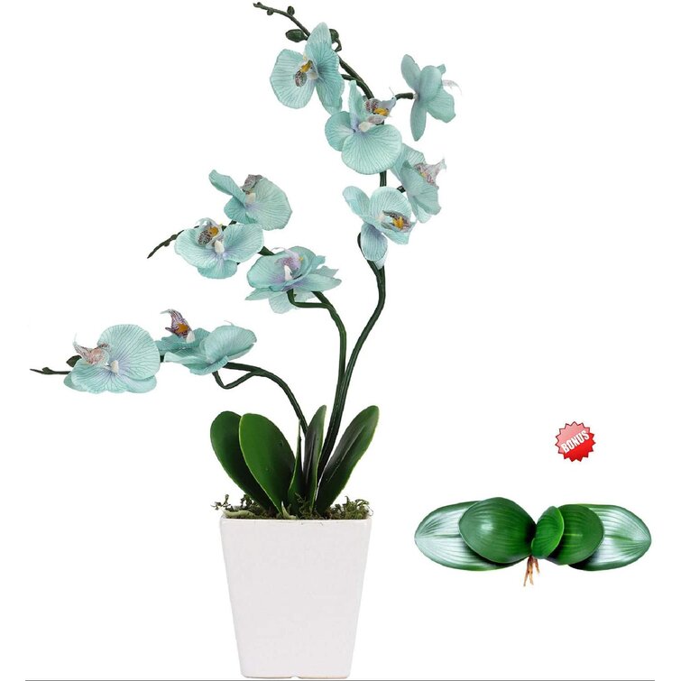 Simple Elements Artificial Orchids Plant with Pot 5 W x 28 Tall Artificial Flowers Faux Flower Housewarming Gift| 1 lb Home décor for Indoor and Outdoor