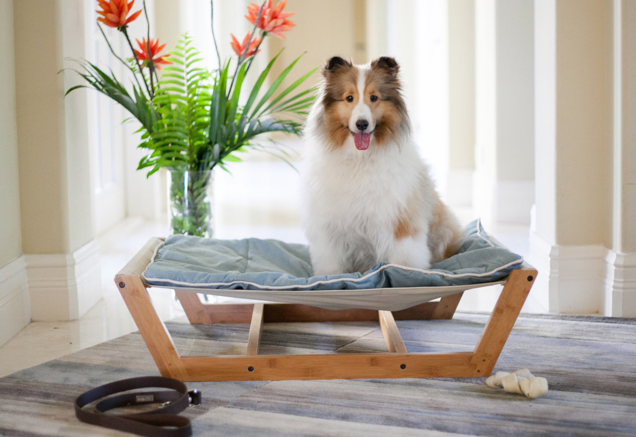 [BIG SALE] Doggie Dreamland Our Best Dog Beds You’ll Love In 2023 Wayfair