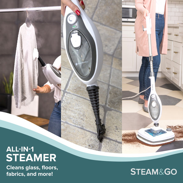 steam and go sag806d