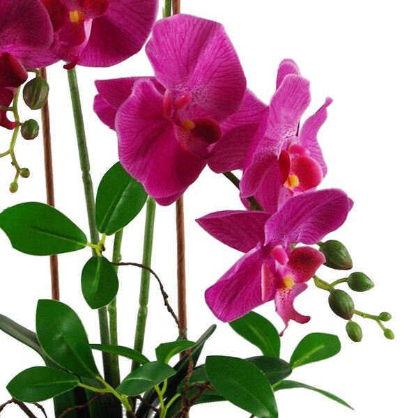 The Seasonal Aisle Orchid Centerpiece in Planter & Reviews | Wayfair.co.uk