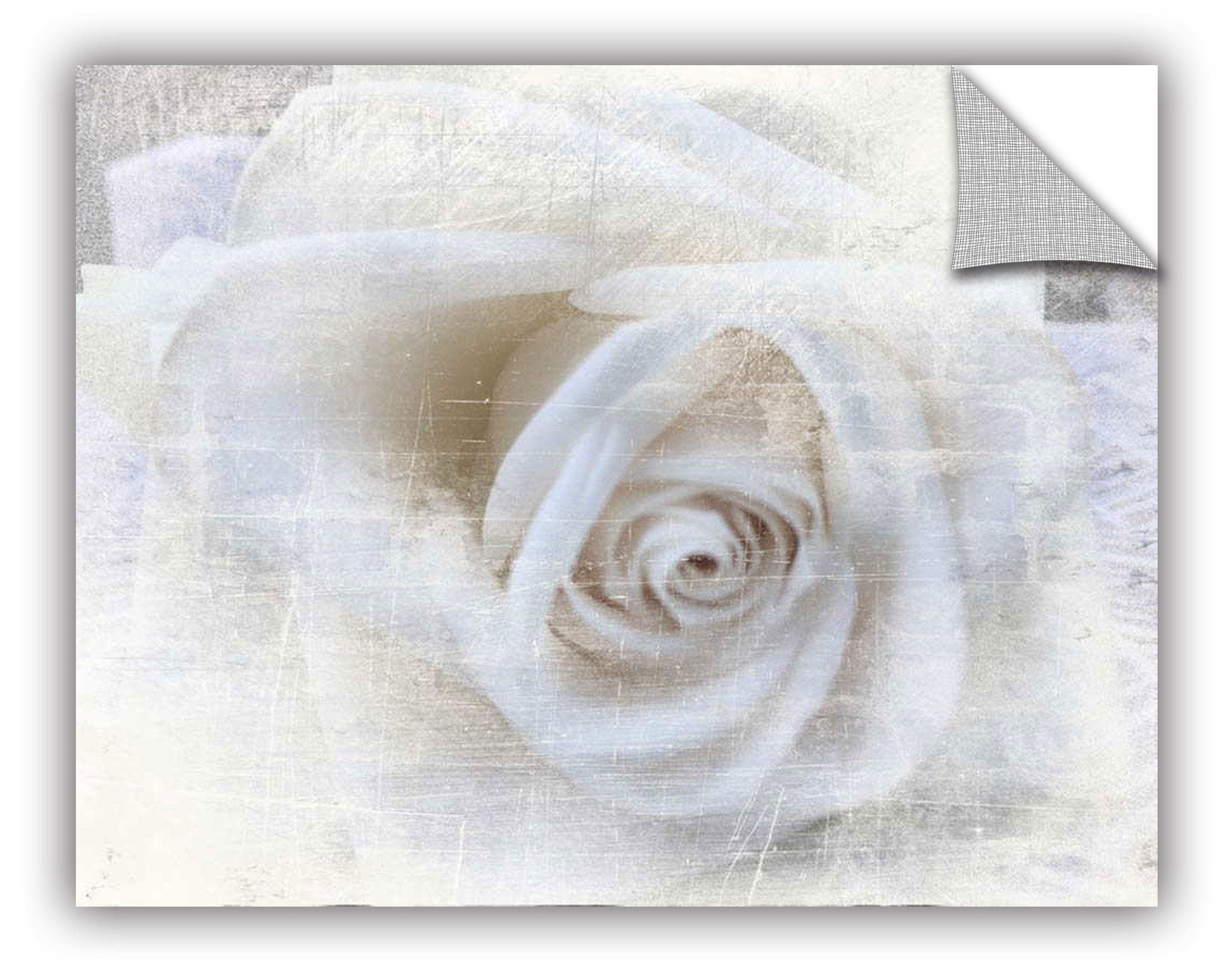 Ophelia & Co. Dreamy Cottage Chic 4 Removable Wall Decal Wayfair