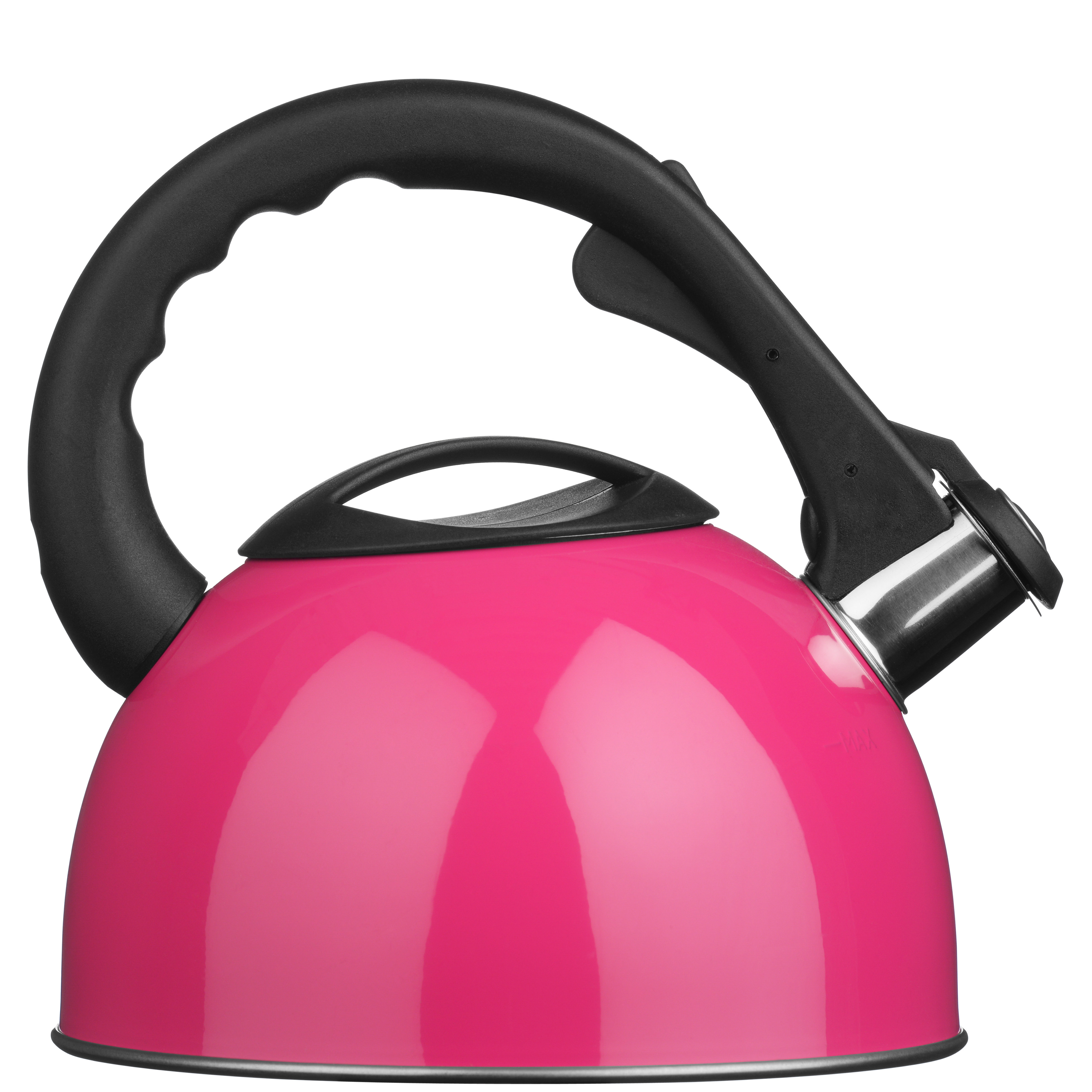 Symple Stuff 2.5L Stainless Steel Whistling Stove Top Kettle & Reviews Wayfair.ie