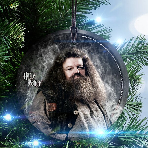 Trend Setters Harry Potter (Hagrid) Hanging Shaped Decoration & Reviews |  Wayfair