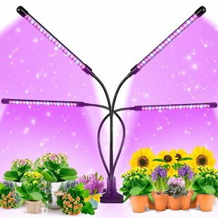 Red/Blue/Yellow 3 Col With 3/9/12H Timer Cxhome T5 Led Plant Grow Light Strips 