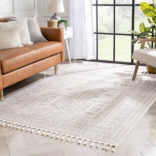 Exotic Vintage Design Living Area Rug Flat Weave Mat Durable Multicolour Carpet 