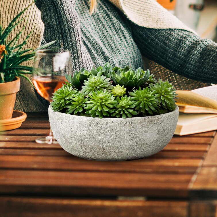 Decorative Pot ~ Design Varies Artificial Fake Succulent Plant One Supplied 