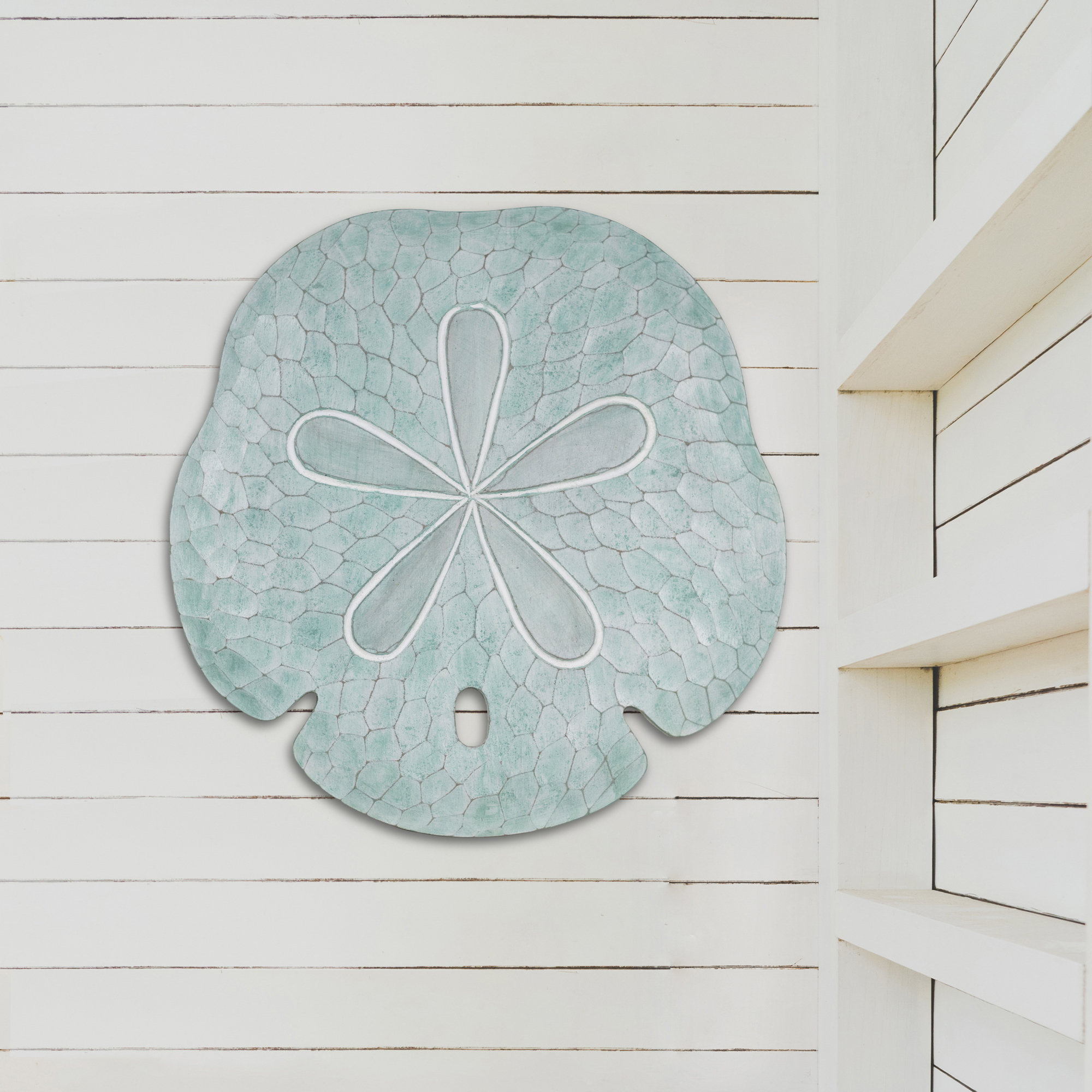 Highland Dunes Sand Dollar Wall Décor & Reviews | Wayfair