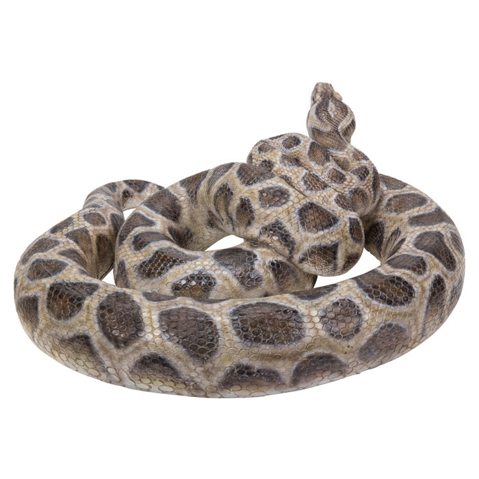Hi-Line Gift Ltd. CURLED UP PYTHON STATUE | Wayfair