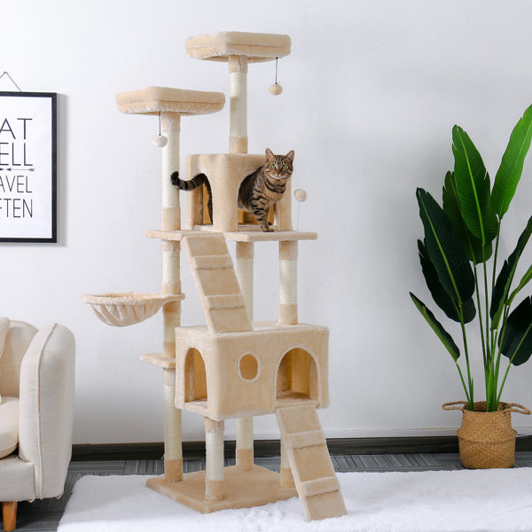 best cat tree