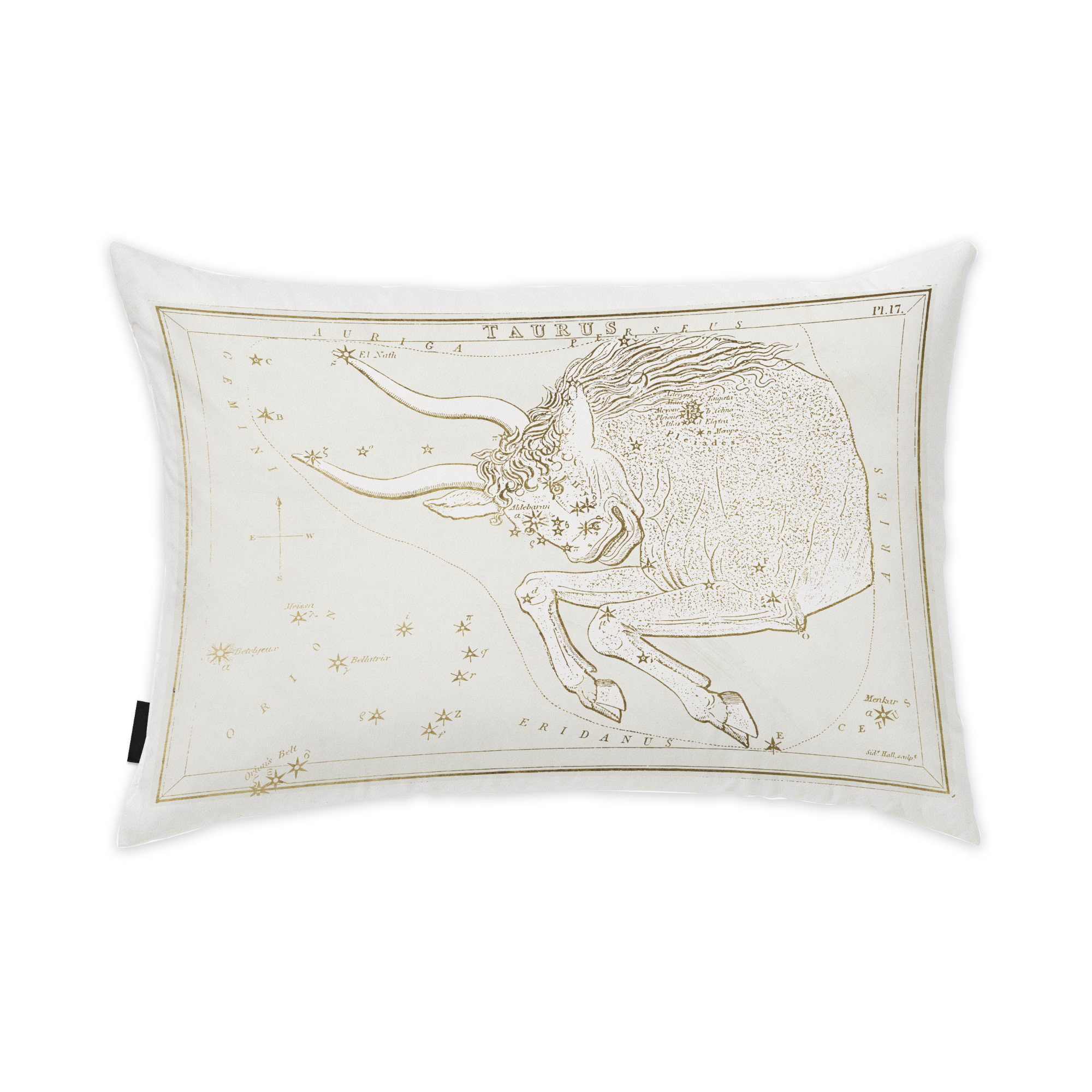 Trinx Zodiac Rectangular Pillow Cover & Insert Wayfair
