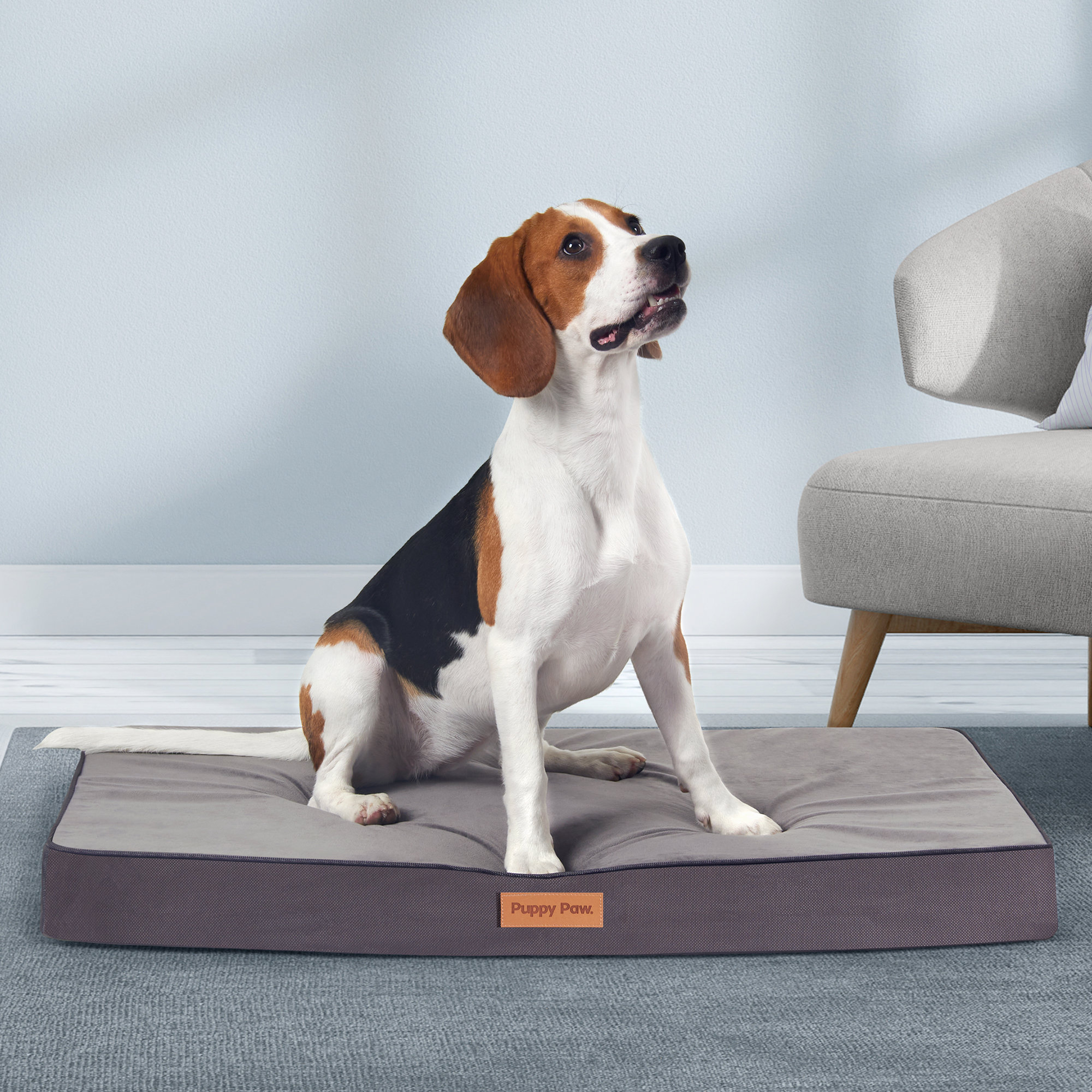 Puppy Paw Orthopedic Memory Foam Classic Dog Pad & Reviews Wayfair