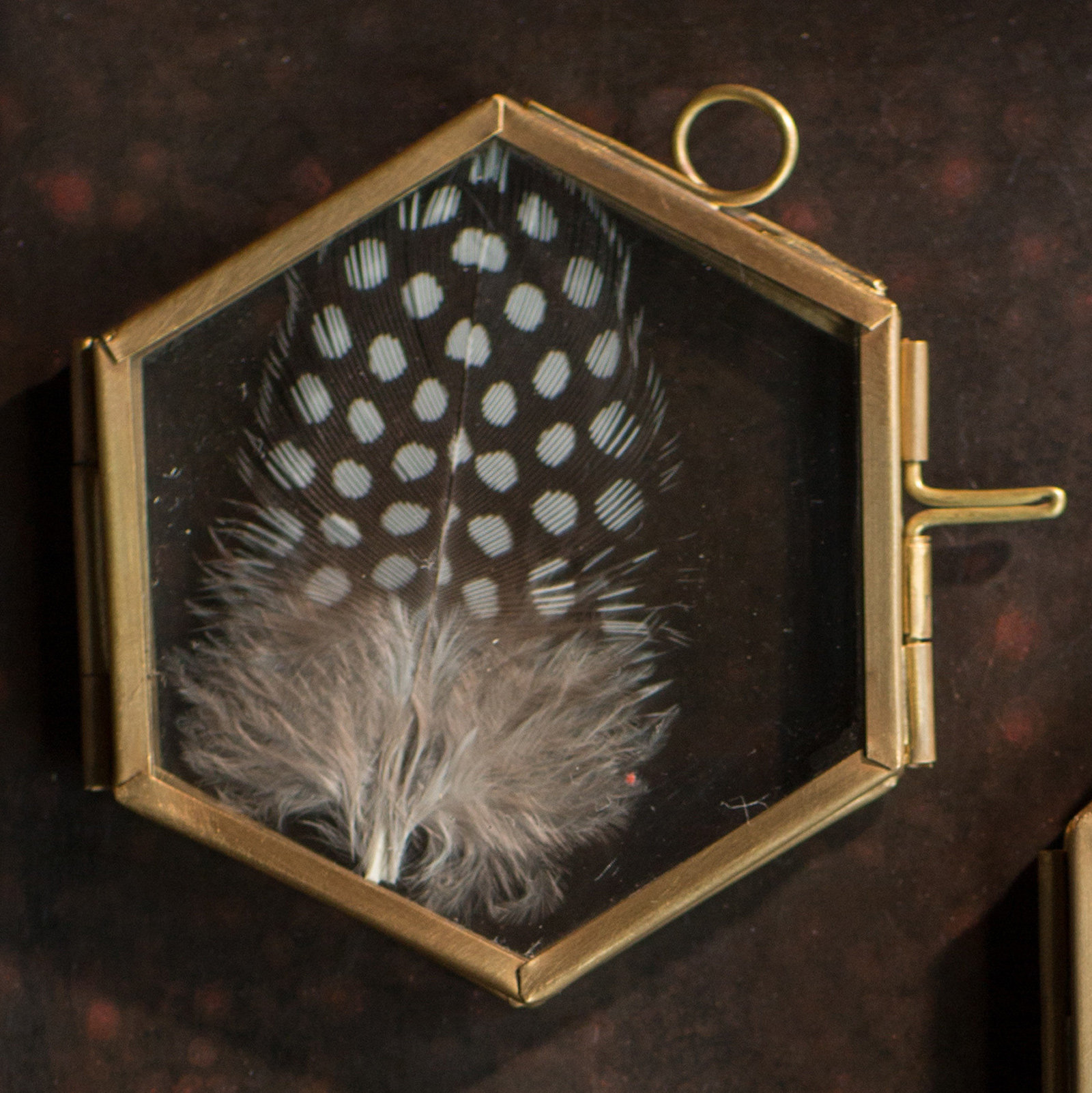 Charlton Home® Toccoa Small Badge Hanging Loops Picture Frame Wayfair