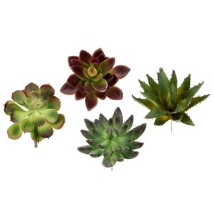 Mini Sukkulenten Kunstpflanzen Künstliche Pflanzen Kunstblume Blumen Haus Deko