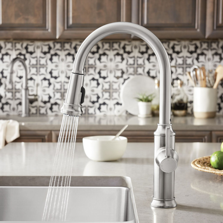 Blanco Empressa Pull Down Single Handle Kitchen Faucet With ...