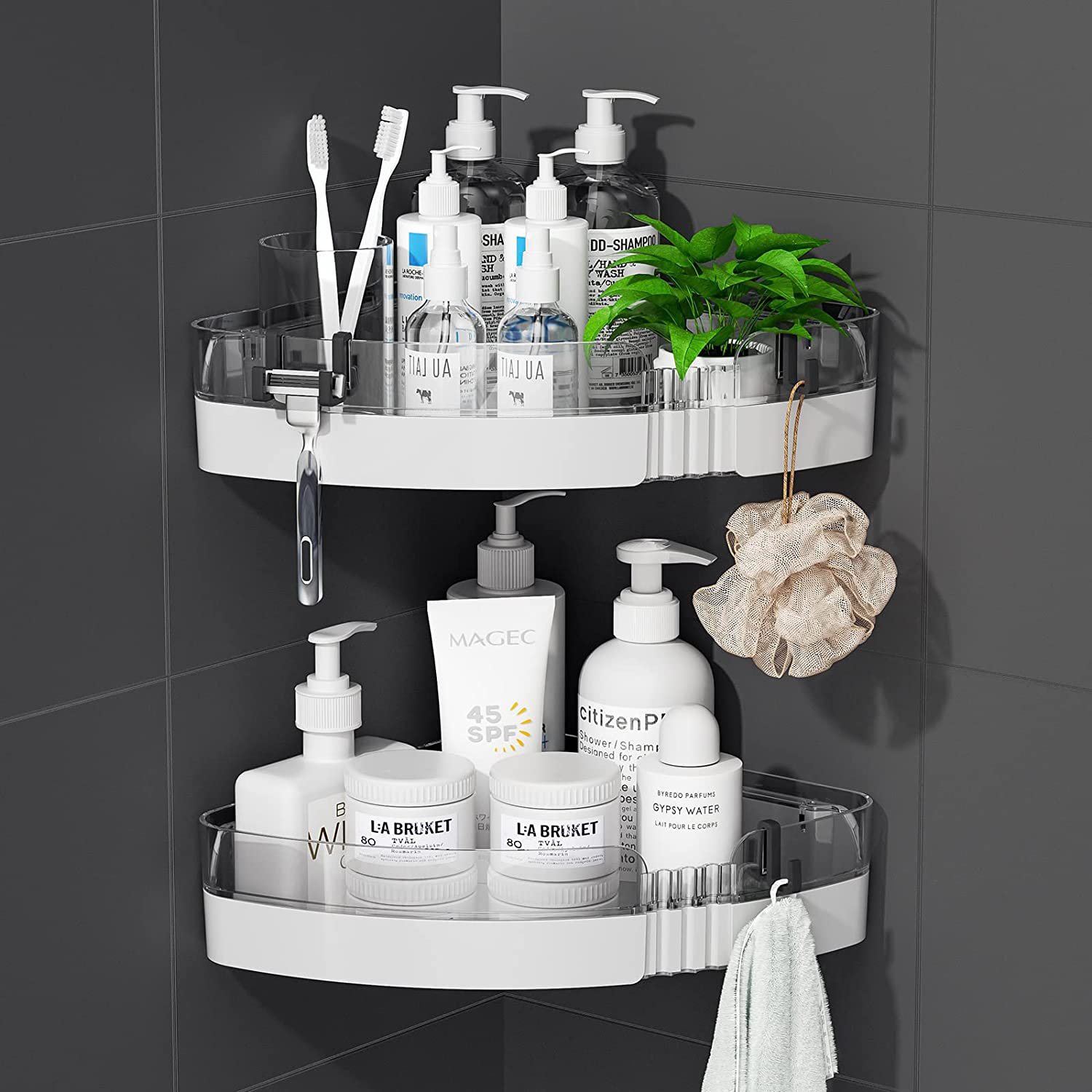 Rebrilliant Maraam Suction Shower Shelf Wayfair