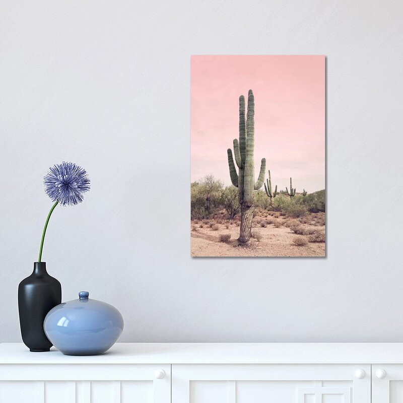 iCanvas Desert Cactus Blush by Sisi and Seb - Graphic Art Print | Wayfair