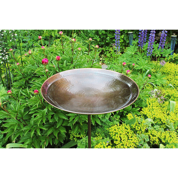 Bain D'Oiseaux Sur Pied En Métal Avec Plateau Purificateur En Cuivre - Résistant Au Gel - Pour Jardin