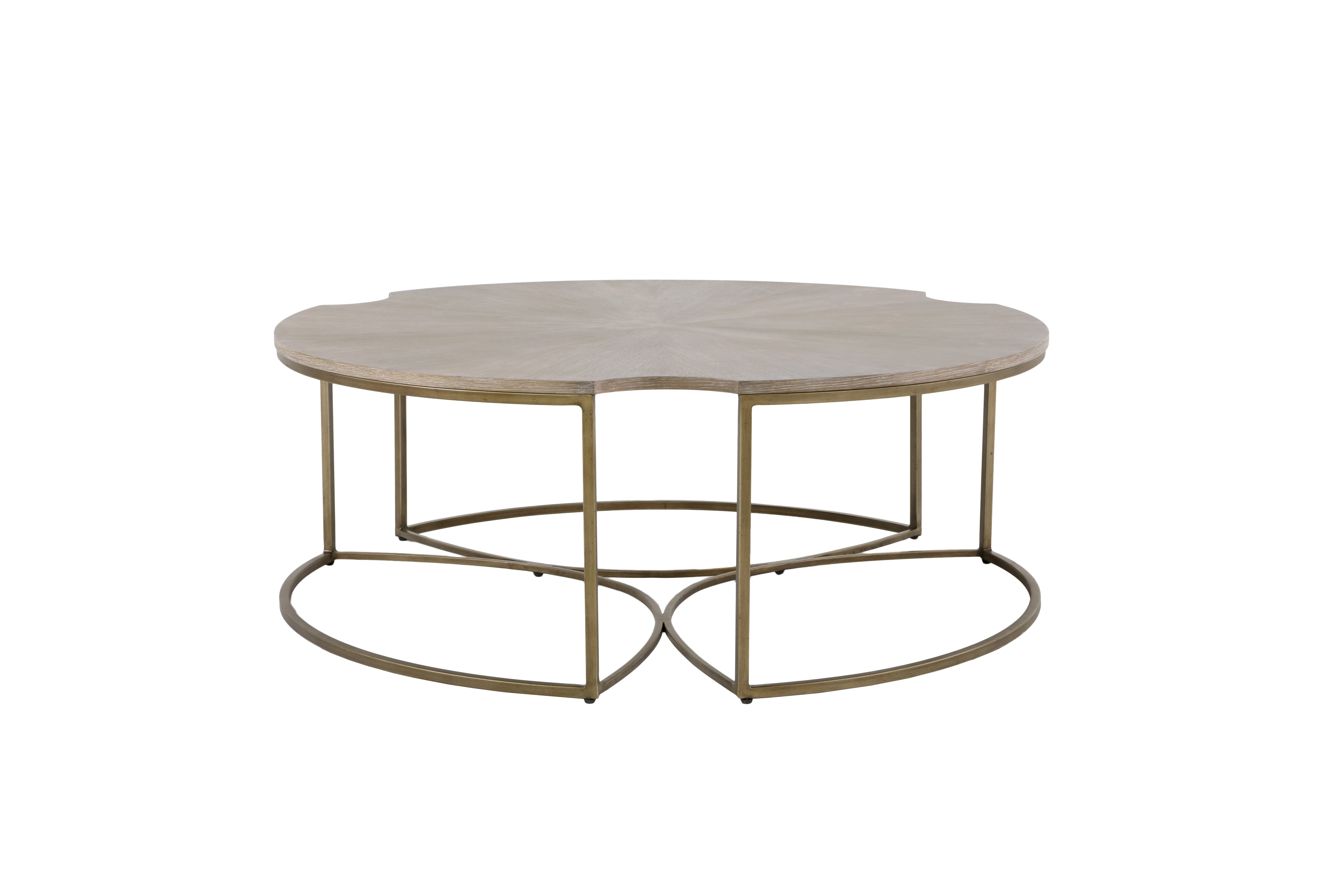 Gabby Zelda Coffee Table & Reviews Wayfair