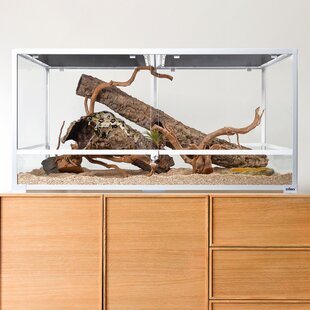 2021 New Upgraded Bearded Dragon Tank with Front Door & Roof Door Snake Tank with Built-in Lamp Fixture and Switch Prolee Reptile Terrarium Tank Large 32 x 16 x 16 