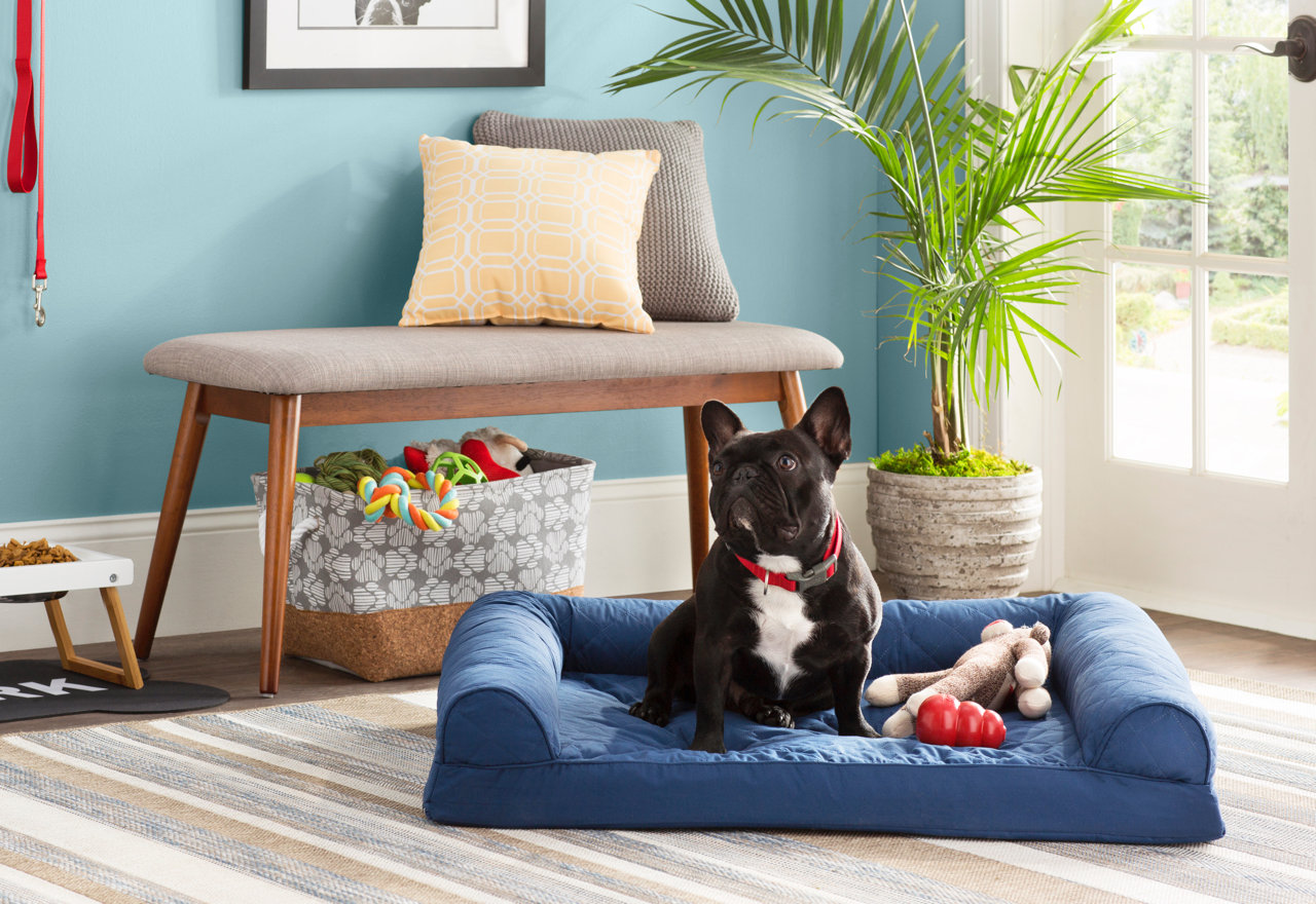 Wayfair Canada Online Home Store for Furniture, Decor, Outdoors